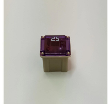 ΑΣΦΑΛEIA MINI 25A FLOSSER...