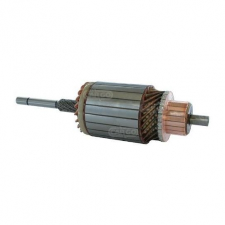 ΜΠΟΜΠΙΝΑ ΜΙΖΑΣ 12V  9000143406 BY CARGO