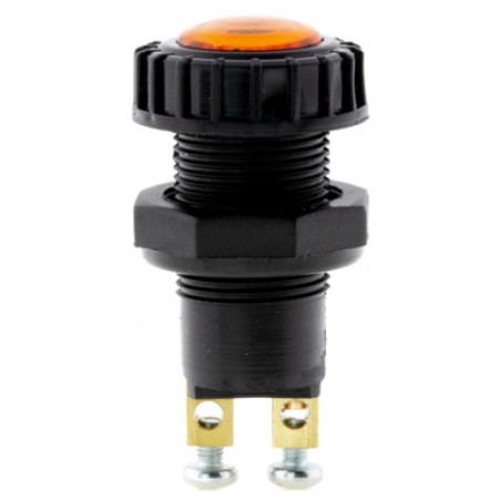 ΕΝΔΕΙΚΤΙΚΟ ΤΑΜΠΛΟ ΠΟΡΤΟΚΑΛΙ  CARSHOW