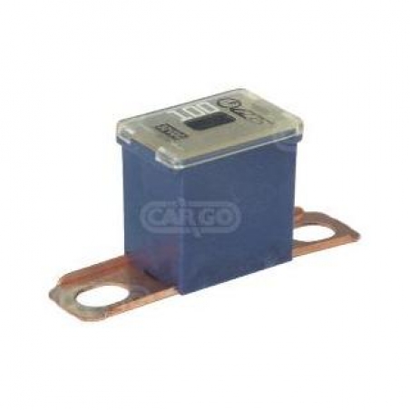 ΑΣΦΑΛΕΙΑ ΓΕΝΙΚΗ 100A JAPAN